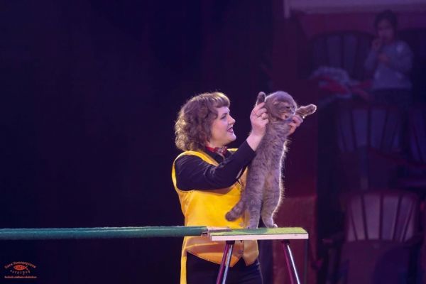 Circus - Childhood Universe