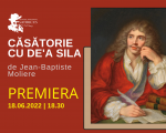 CASATORIE CU DE'A SILA