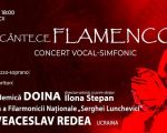 Cântece FLAMENCO