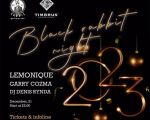 Black Rabbit Night