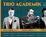 TRIO ”ACADEMIK” ÎN RECITAL