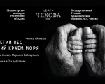 Пегий пёс, бегущий краем моря
