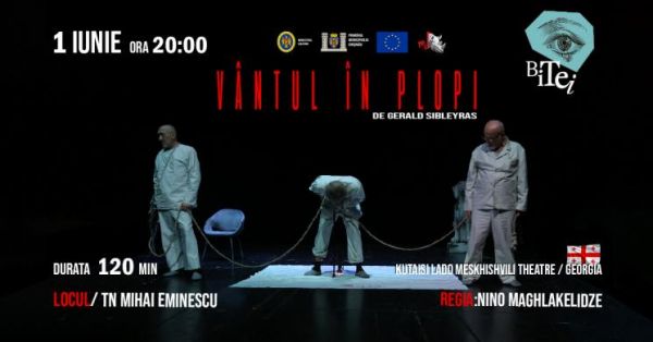 VÂNTUL ÎN PLOPI