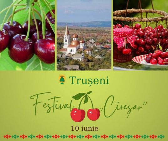Festivalului „Cireșar”