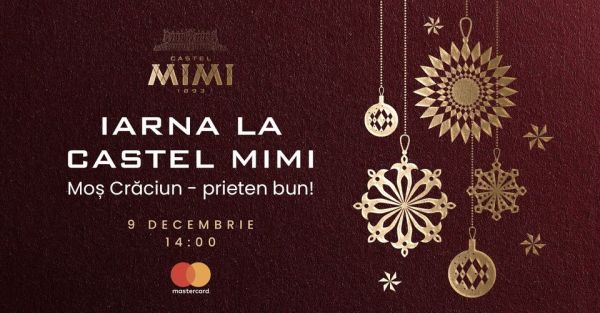 Iarna la Castel Mimi