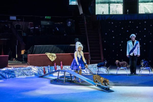Circul: Aventura de Crăciun