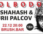 Dj Shahash and Yurii Palcov