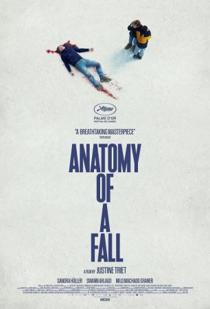 Filmul "Anatomia unei prăbușiri 2D (EN)"