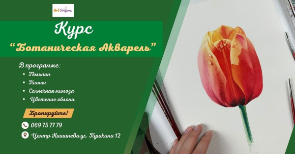 Curs "Acuarelă Botanică"