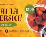 ,,Hai la piersici!” Festival