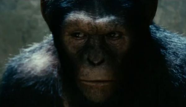 "Rise of the Planet of the Apes" Movie
