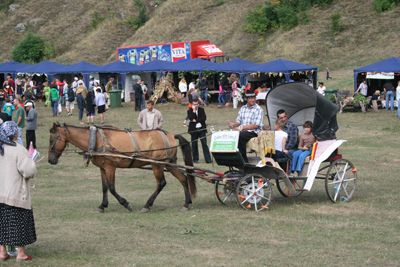 Gustar Festival 2011