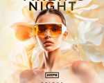 VIXENS NIGHT