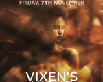 VIXENS NIGHT VIXENS NIGHT