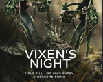 VIXENS NIGHT