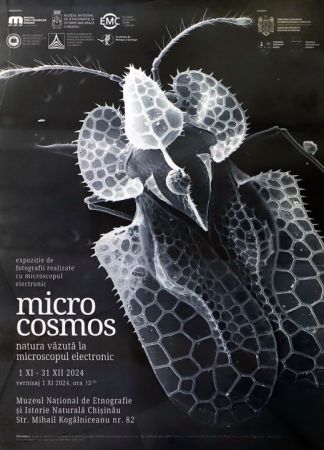 Microcosmos
