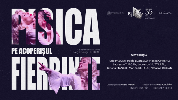Pisica pe acoperișul FIERBINTE