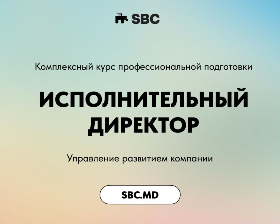 DIRECTOR EXECUTIV