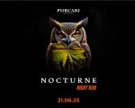 Nocturne Night Run #3