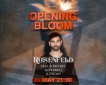 Opening Bloom | Summer Begins