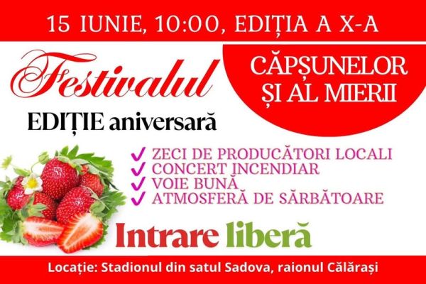 Strawberry and Honey Festival #10