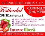 Strawberry and Honey Festival #10