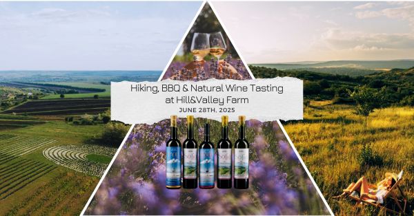 Hike, BBQ & Natural Wine at Hill&Valley Farm