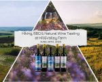 Hike, BBQ & Natural Wine at Hill&Valley Farm