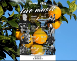 Live Music Evening