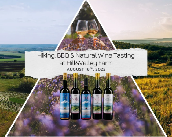 Hiking, BBQ & Natural Wine Tasting at Hill Valley Farm