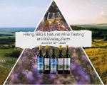 Hiking, BBQ & Natural Wine Tasting at Hill Valley Farm
