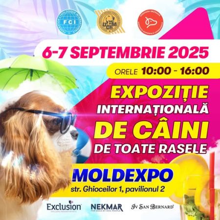 INTERNATIONAL DOG SHOWS