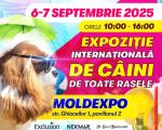 INTERNATIONAL DOG SHOWS
