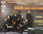 Bach – between organ and accordion