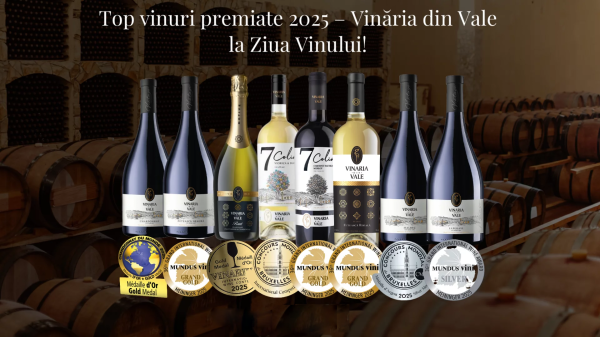 Top vinuri premiate 2025