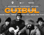 CUIBUL LIVE: LANSAREA ALBUMULUI BREAK THE BRANCHES, BREAK THE STICKS PE VINYL