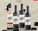 Wine Day in Asconi
