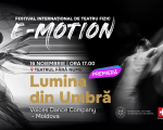 Lumina din umbră - Multimedia performance