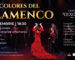LOS COLORES DEL FLAMENCO