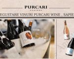 Degustare vinuri Purcari Wine Sapiens