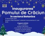 Inauguration of the Christmas Tree / Botanica