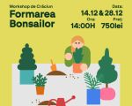 Christmas Workshop for Bonsai training!