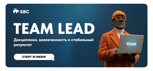 TEAM LEAD