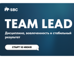 TEAM LEAD