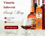 Degustare Vinaria Ialoveni
