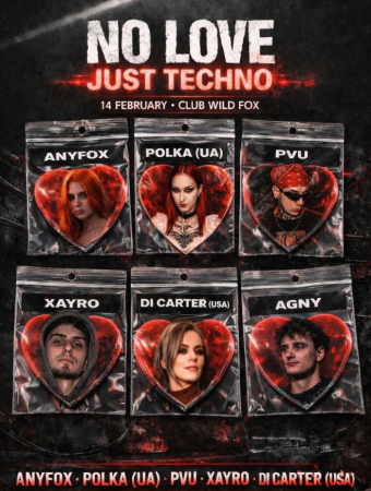 No Love, Just Techno