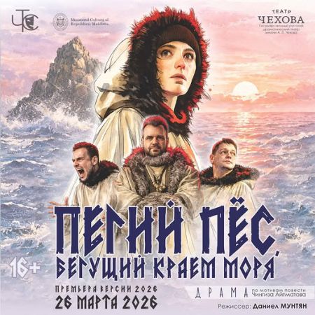 The dog running along the edge of the sea