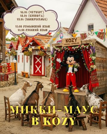 A Tale in Kozy Town!