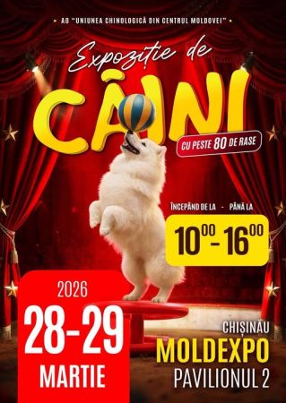 Dog Exhibition, Circus Performances