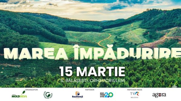 MAREA IMPADURIRE